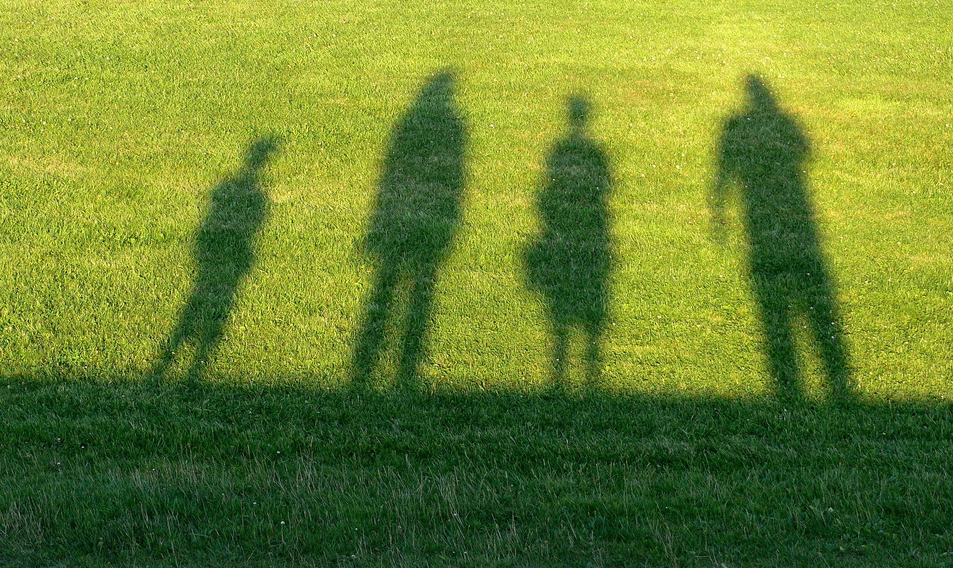 Shadows of a family cast on a garden lawn