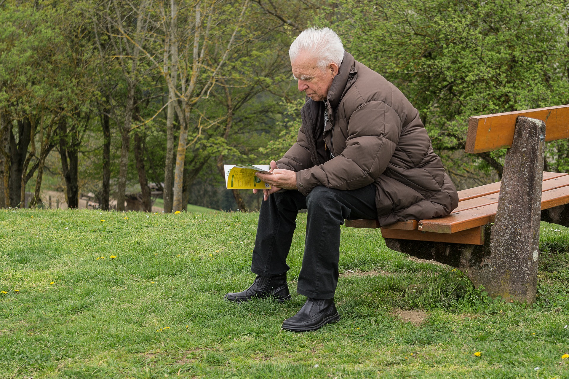 An elderly man reading a book in a park