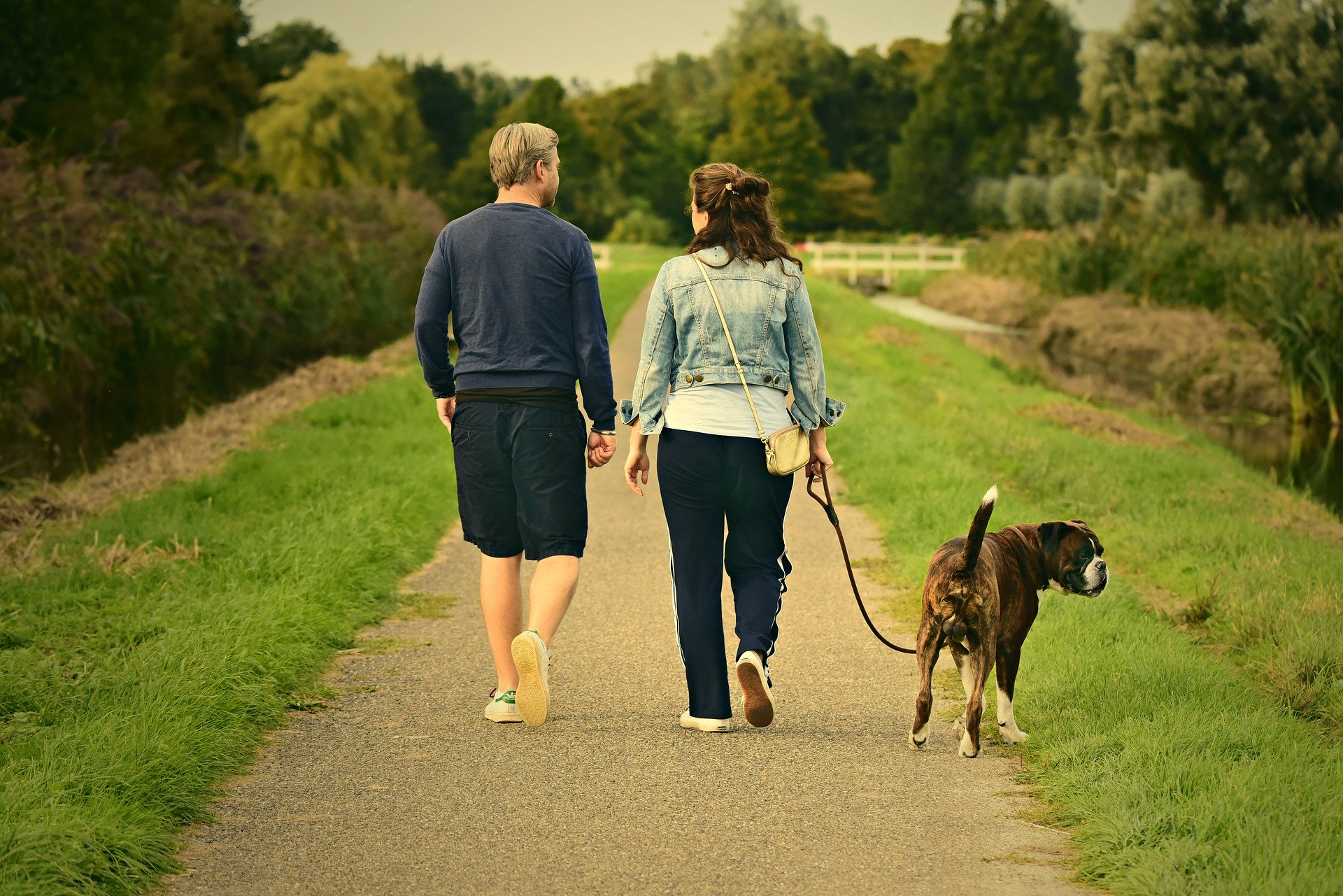 A young couple walk with a dog