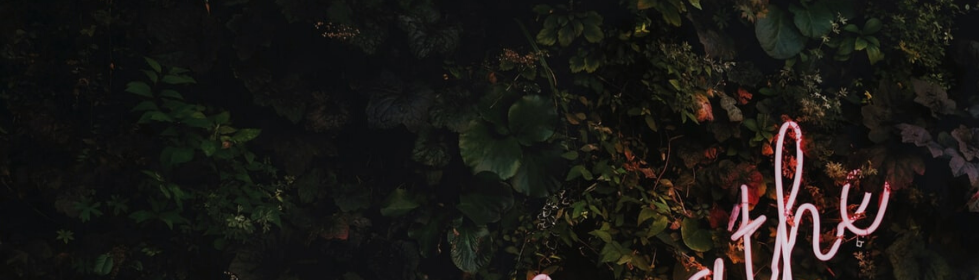 Neon sign in foliage reads 'breathe'